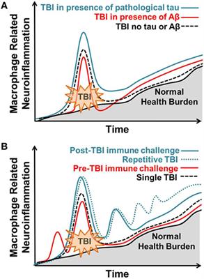 The Inflammatory Continuum of Traumatic Brain Injury and Alzheimer’s Disease